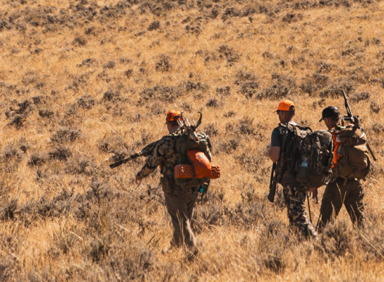 Hunters walking through tall grass in a sunny landscape.