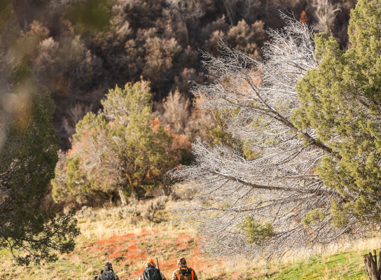 Hunters walking in a mountain meadow environment during autumn.