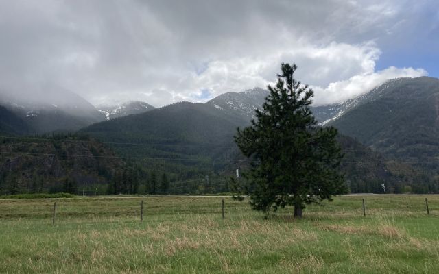 Mountain landscape featuring snow-capped peaks and green grassland.
