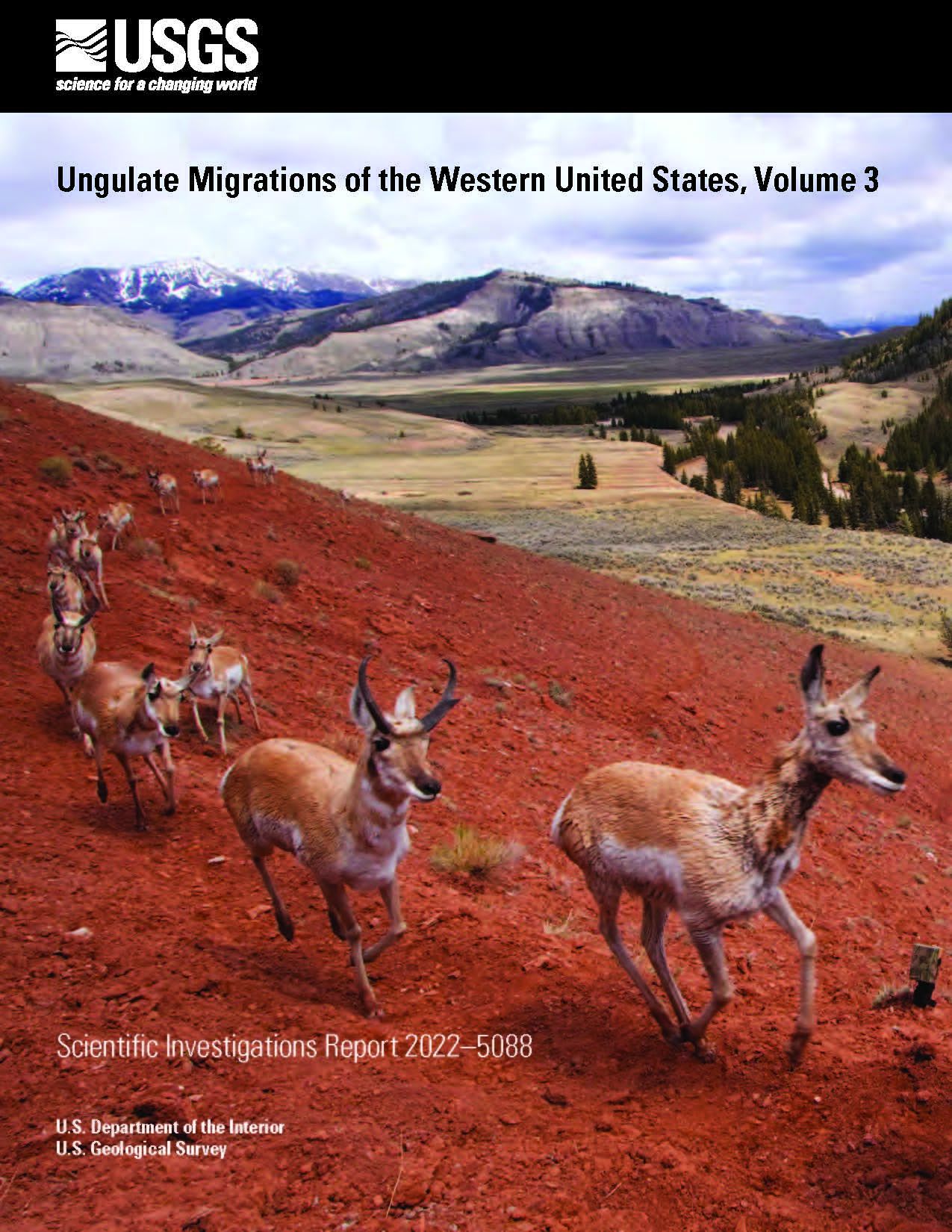 Mule deer herd running across red-hued hills with mountains in background.