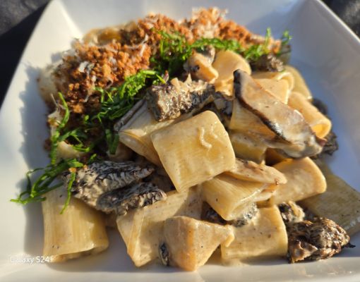 Delicious pasta dish featuring morel mushrooms and herbs.