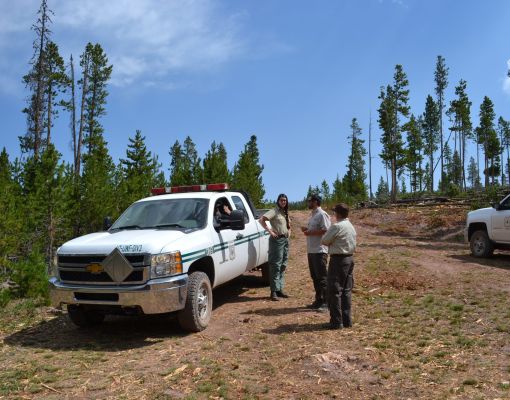 Group of wildlife conservation volunteers discussing project in forest.