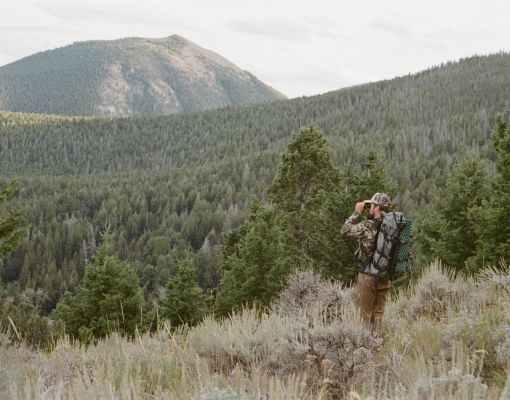 Hunter observing wildlife in a mountainous forested landscape.