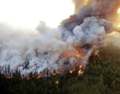 Aerial view of a forest fire with smoke and flames.