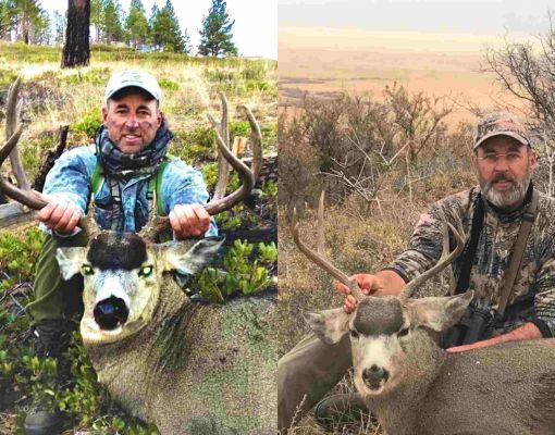 Two hunters posing with trophy mule deer bucks