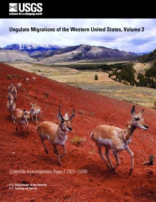 Mule deer herd running across red-hued hills with mountains in background.