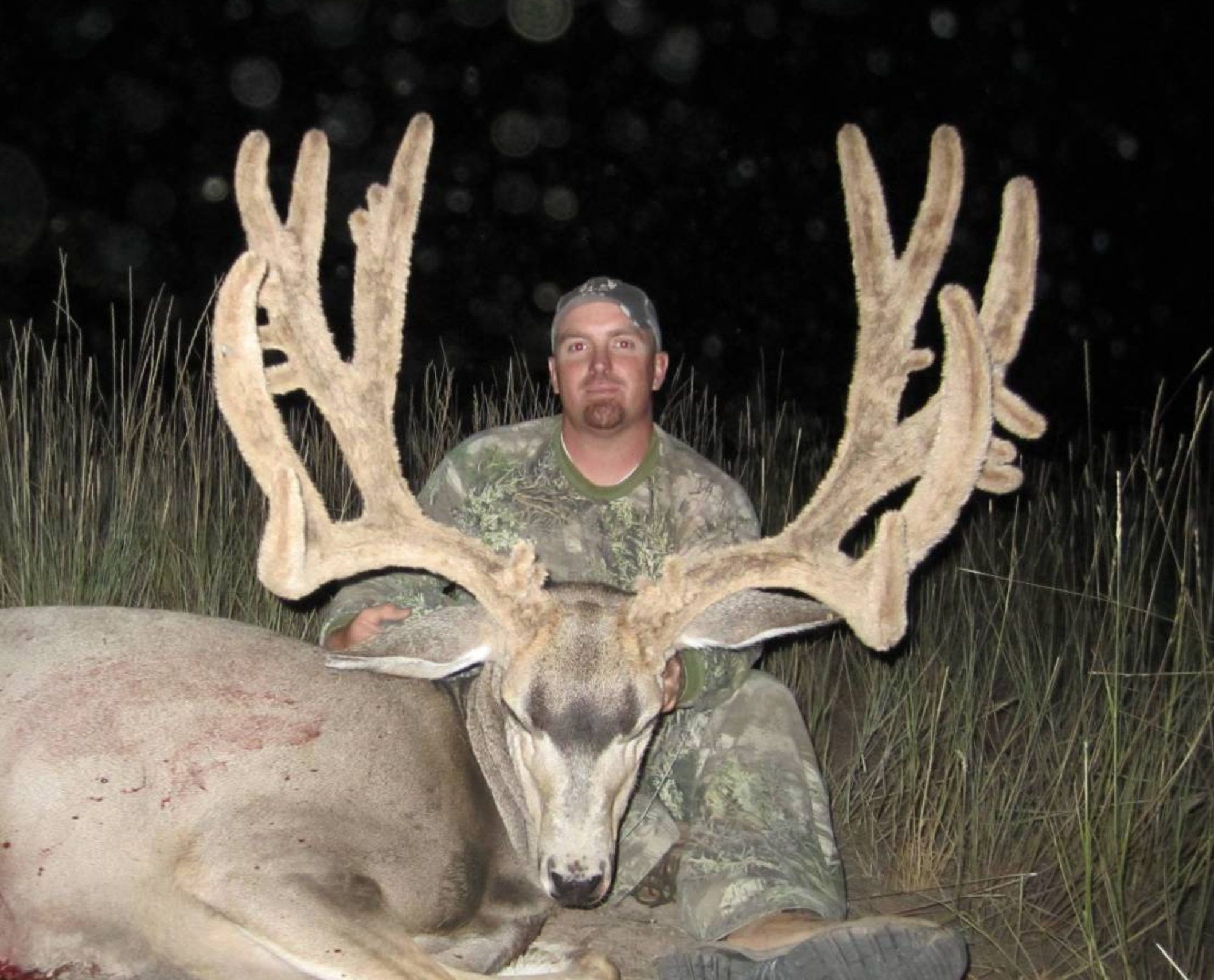 Hunter with large mule deer buck at night.