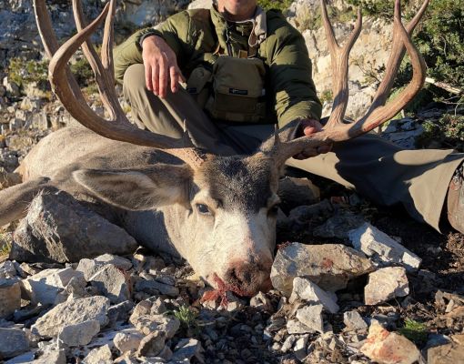 Mule deer hunter in mountainous rocky setting