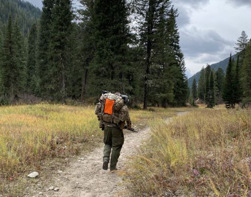 Hunter walking on a forest trail with a backpack.