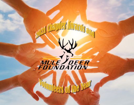 Hands coming together symbolizing teamwork for Mule Deer Foundation awards.