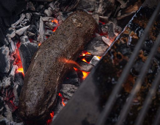 Cooked venison over glowing charcoal ashes.