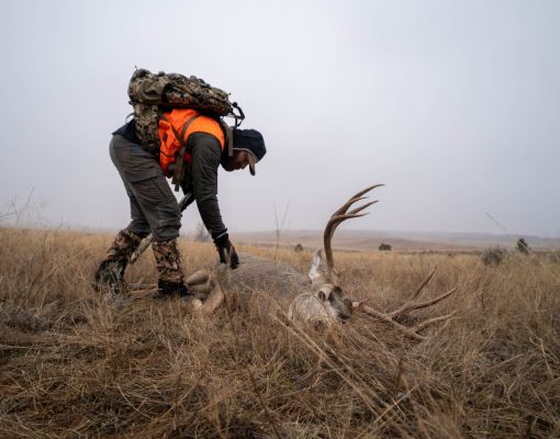 Hunter examining a mule deer in a grassland setting.