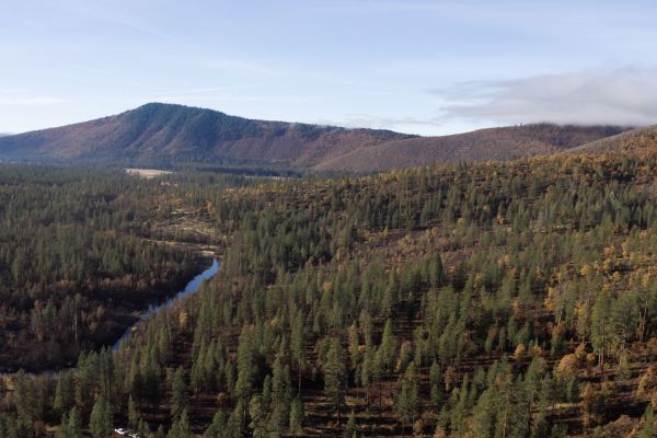 Aerial view of a forested mountain area with a winding river.