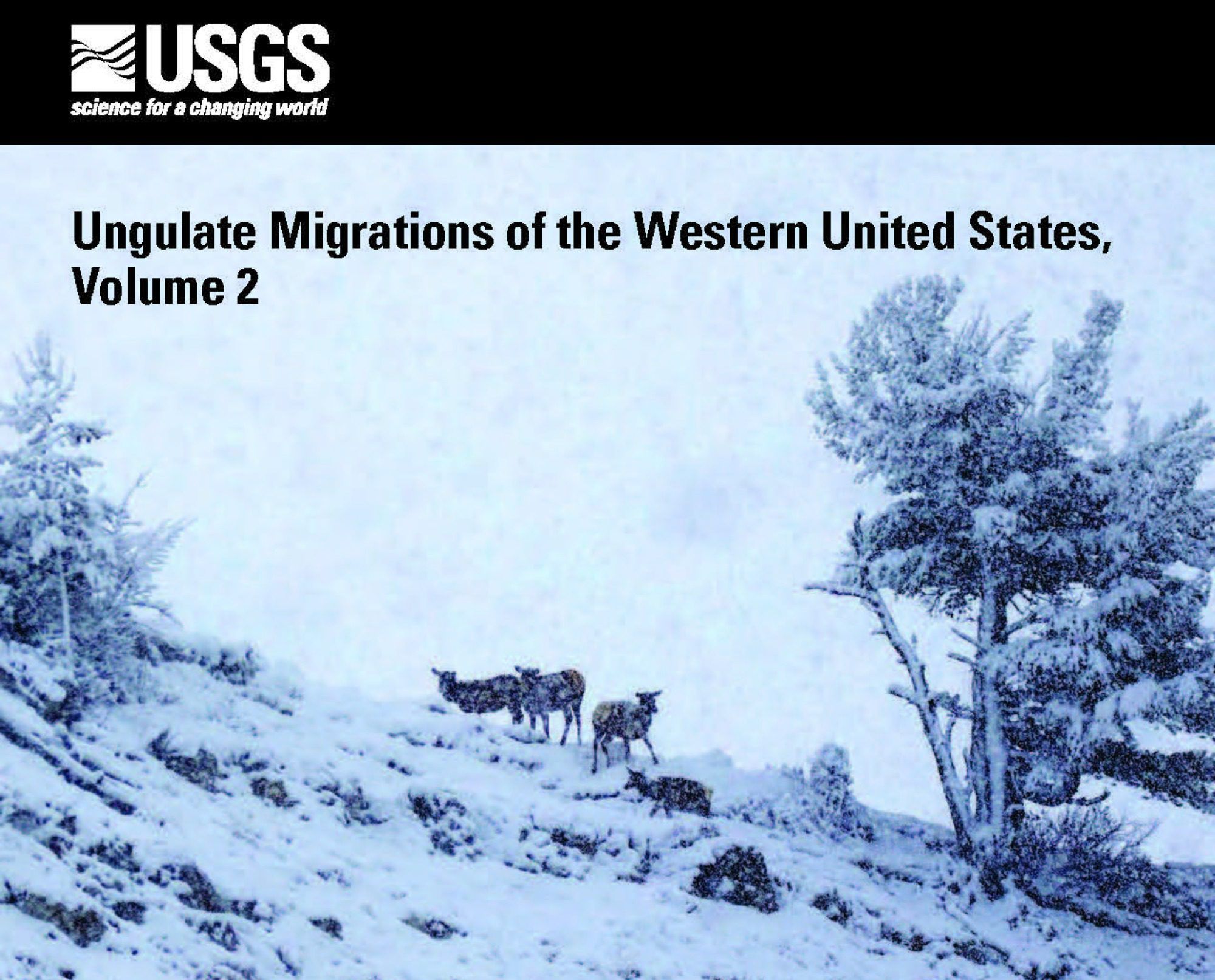 Ungulate migrations in snowy mountains, Volume 2 report cover.