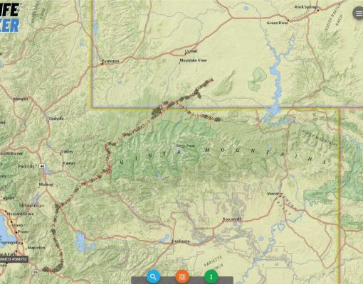 Map showing wildlife tracking data in Utah region.