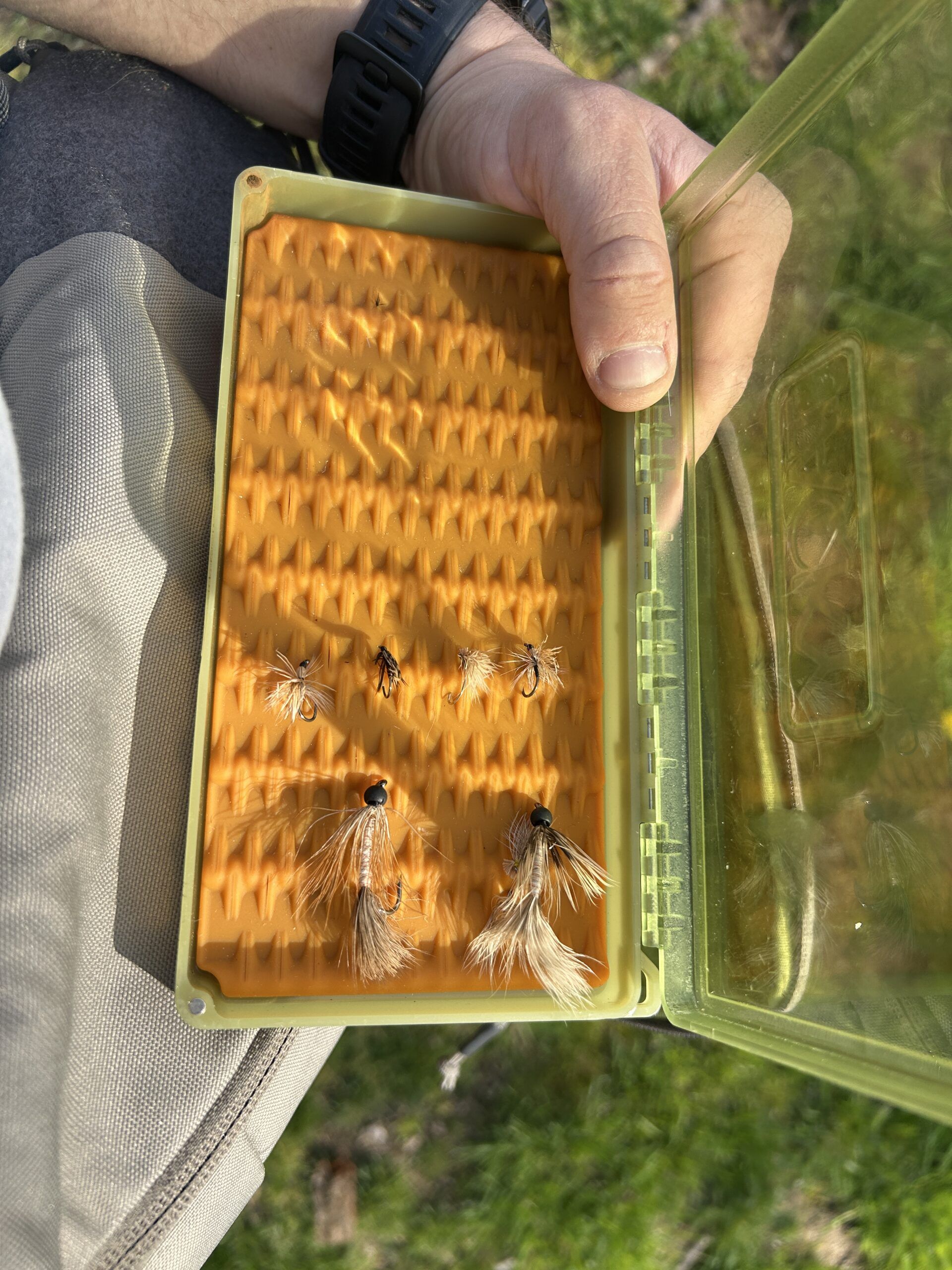 Close-up of fishing flies in a storage box held by a person.