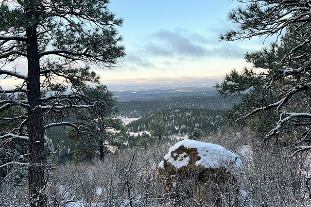 Scenic view of a snowy mountain landscape with trees and a rocky outcrop.