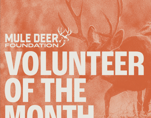 Mule Deer Foundation Volunteer of the Month announcement.