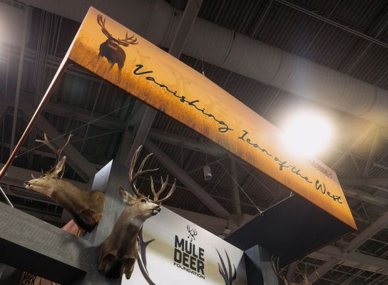 the Mule Deer Foundation introduced a bold new national campaign aimed at confronting one of the most pressing challenges in Western wildlife conservation. Centered around the message “The Vanishing Icon of the West,” the campaign reflects both the significance of mule deer to the American West and the growing urgency to restore their numbers across the landscape.