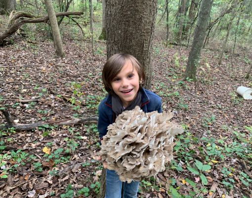 Child holding a large mushroom in a forest setting.