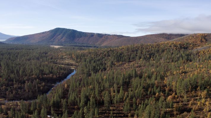 Aerial view of a forested mountain area with a winding river.