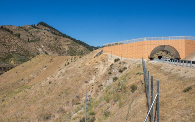 Wildlife crossing structure designed for safe animal passage over a highway.