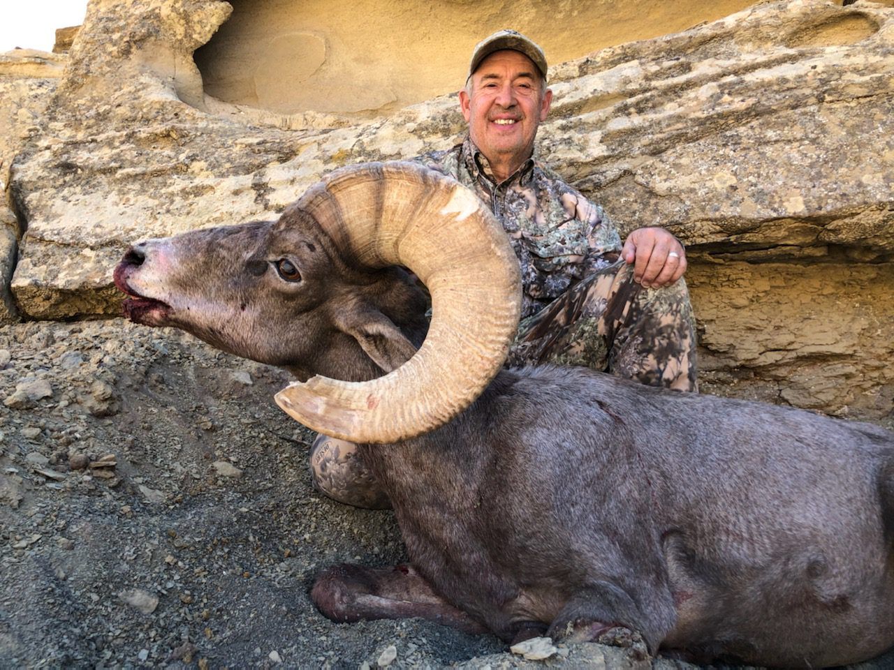 Hunter with harvested bighorn sheep in rugged terrain.