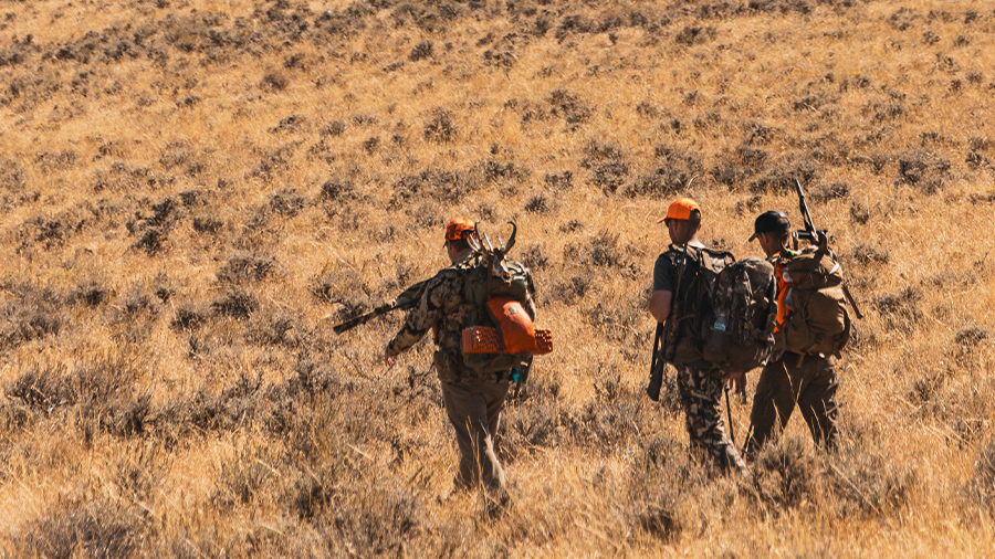 Hunters walking through tall grass in a sunny landscape.