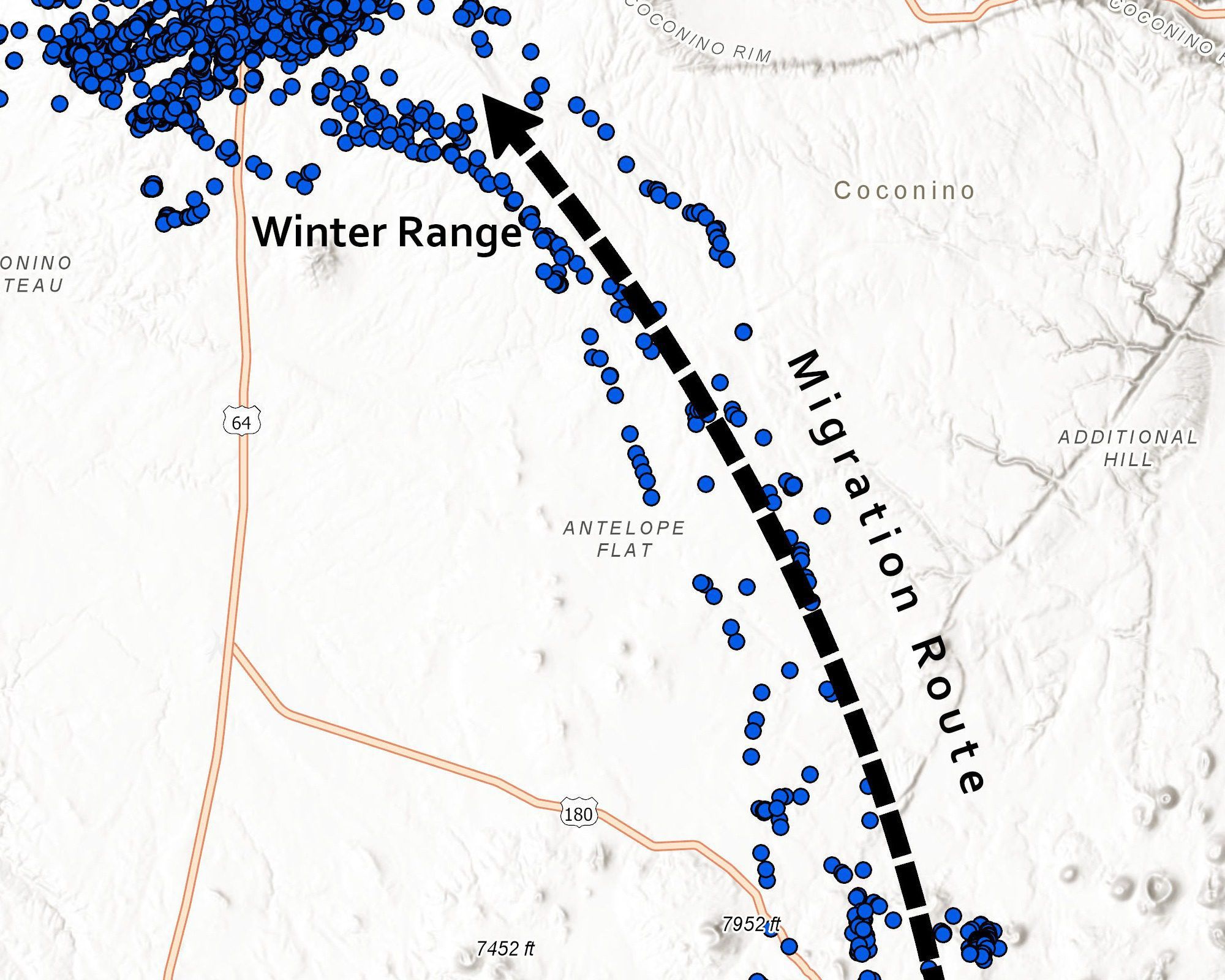 Map showing mule deer migration route and winter range in Coconino