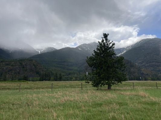 Mountain landscape featuring snow-capped peaks and green grassland.