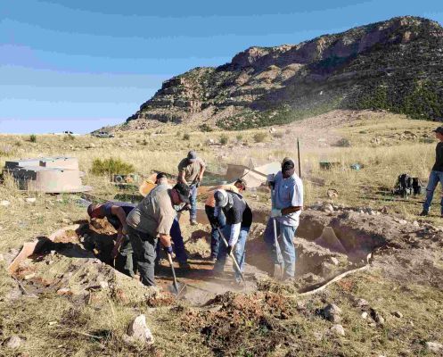 Volunteers engaging in habitat restoration work at a site.