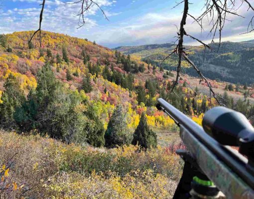 Hunting scene with rifle overlooking a colorful autumn landscape.