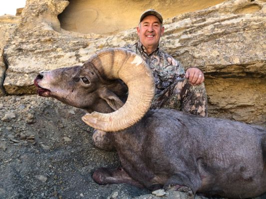 Hunter with harvested bighorn sheep in rugged terrain.
