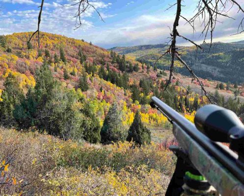 Hunting scene with rifle overlooking a colorful autumn landscape.