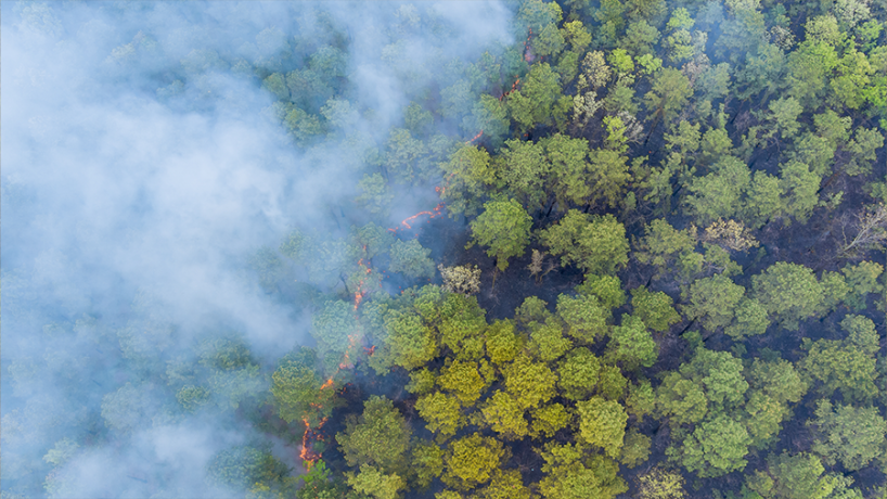 Wildfire in mountain region with smoke and flames.