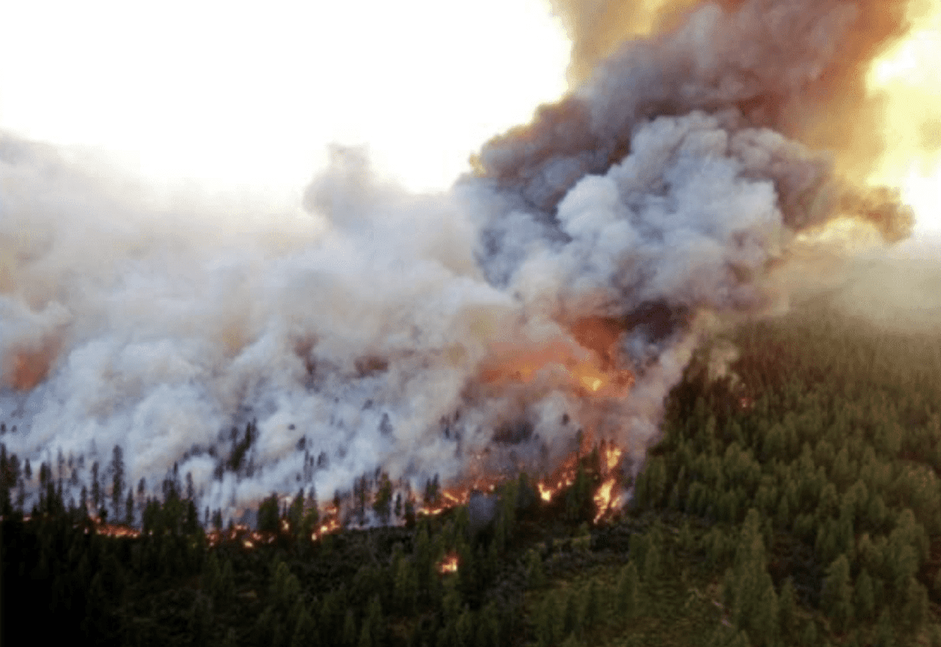 Aerial view of a forest fire with smoke and flames.