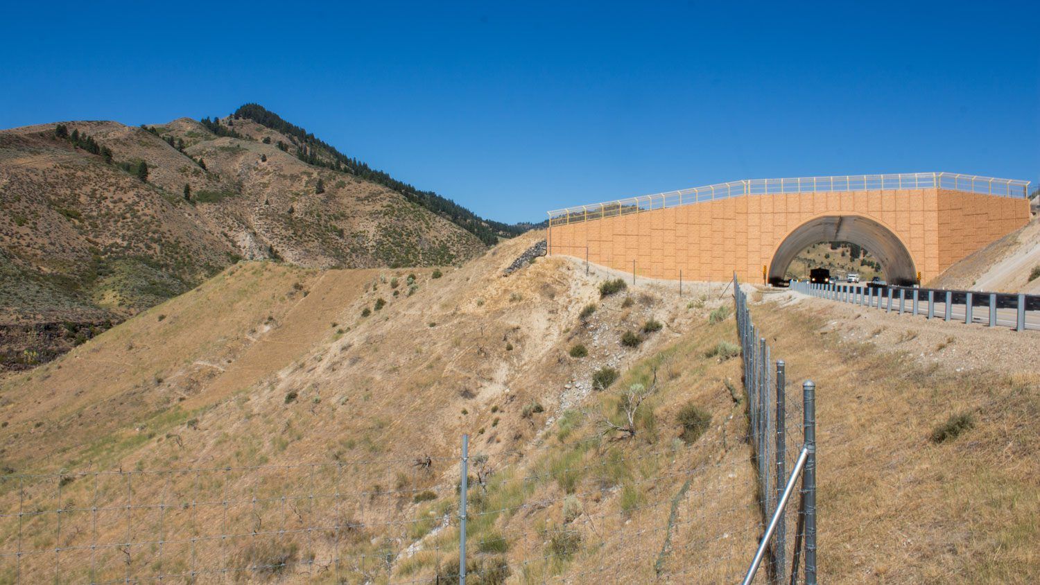 Wildlife crossing structure designed for safe animal passage over a highway.