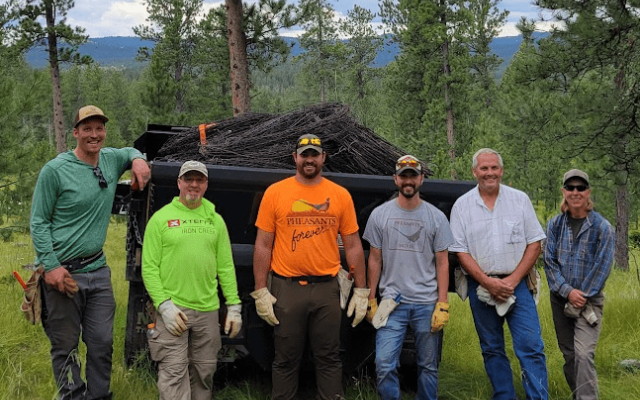 Group photo of volunteers engaged in conservation work in a forested area.