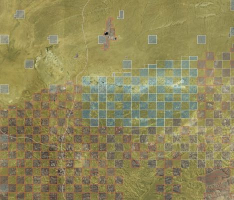 Aerial view of habitat mapping area with grid squares for conservation efforts.