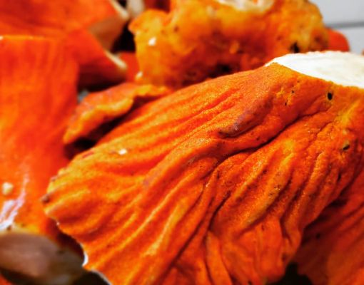 Close-up of orange mushroom with textured surface.