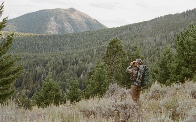Hunter observing wildlife in a mountainous forested landscape.