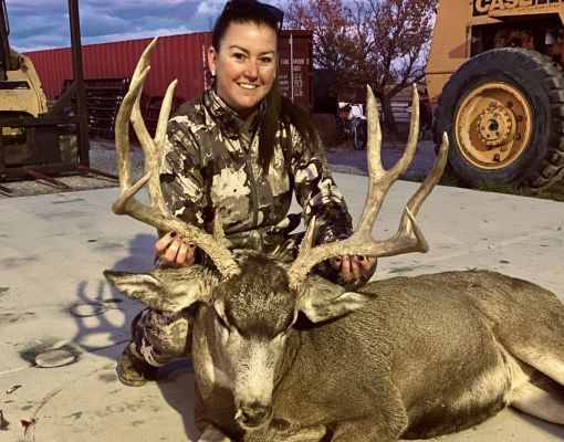Mule deer buck harvested by a hunter in camouflage clothing.