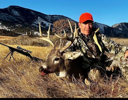 Mule deer buck with hunter in a mountain meadow