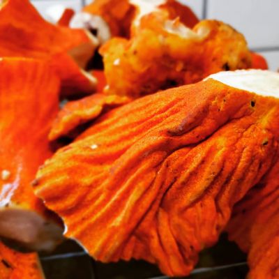 Close-up of orange mushroom with textured surface.