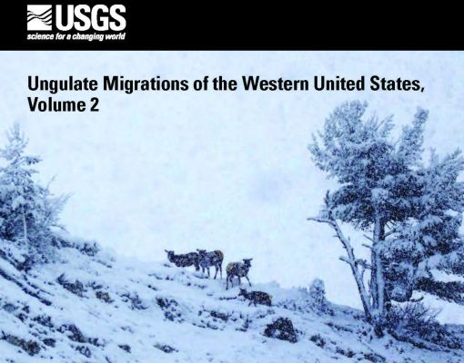 Ungulate migrations in snowy mountains, Volume 2 report cover.