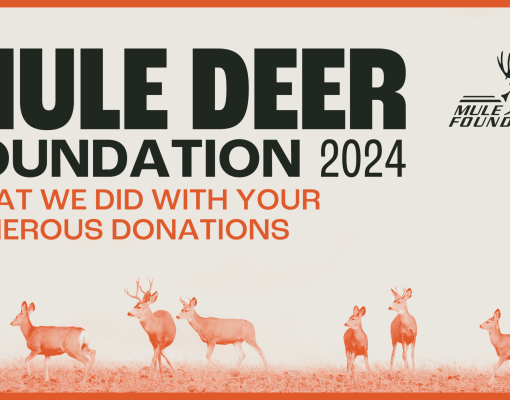 Mule Deer Foundation 2024 theme on donations impact