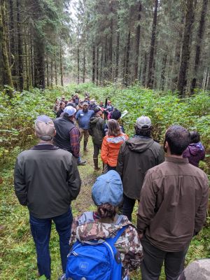 Group networking in a forest setting for conservation efforts.
