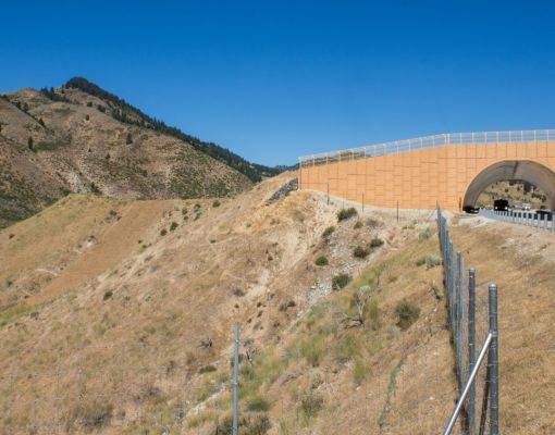 Wildlife crossing structure designed for safe animal passage over a highway.