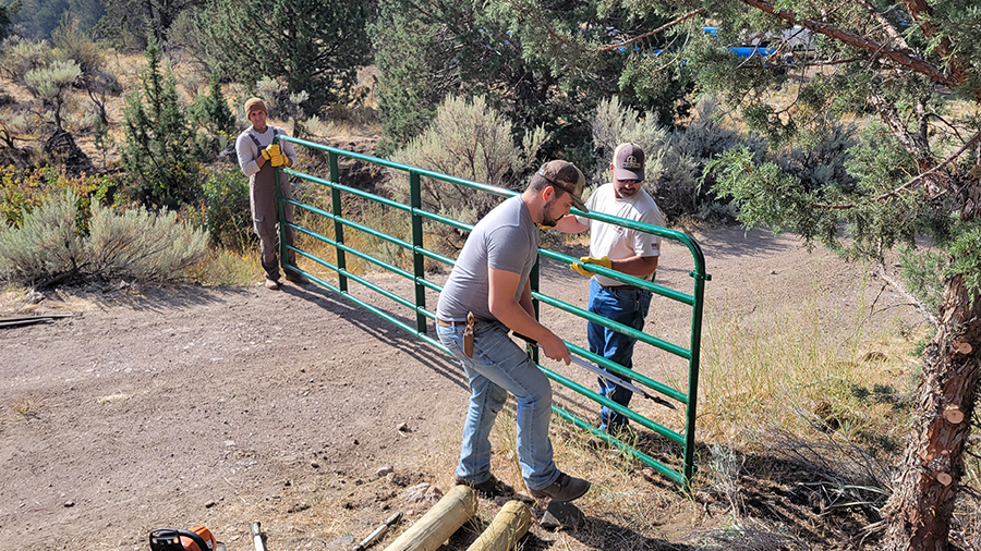 Volunteers installing a gate in a natural area with greenery around.