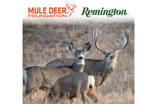 The Mule Deer Foundation (MDF) is proud to announce the continuation of its long-standing partnership with Remington.